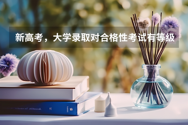 新高考，大學(xué)錄取對合格性考試有等級要求嗎，如果6科都是D，能被本科或者?？其浫?？
