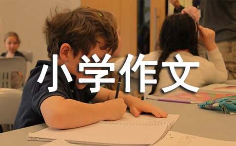 多彩的活動小學(xué)作文合集15篇