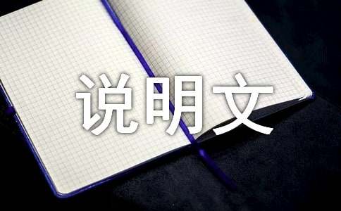 關(guān)于鋼筆說明文作文錦集十篇