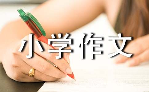 【實(shí)用】我的小學(xué)作文300字4篇