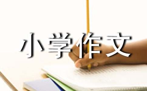有關(guān)難忘的小學(xué)作文300字九篇