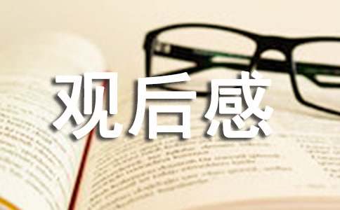 神舟十九號(hào)凱旋歸來(lái)觀后感（精選10篇）