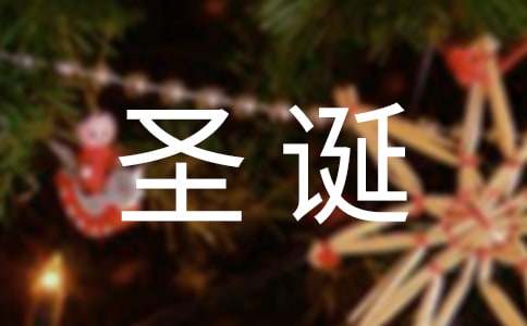 小學(xué)生圣誕節(jié)英語作文