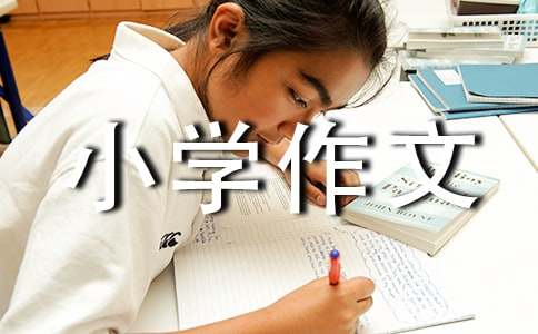 自己的故事小學(xué)作文