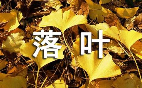 作文：落葉的經(jīng)歷