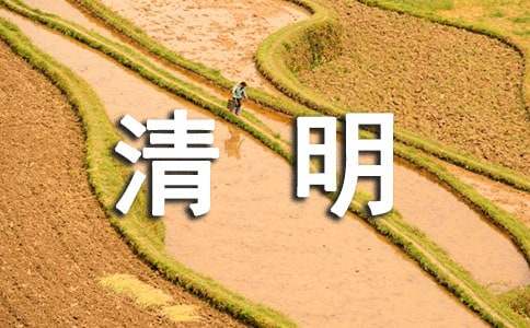 清明節(jié)活動(dòng)作文