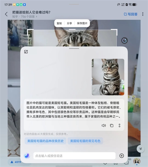 iPhone黨等不來的AI 為啥安卓早早就用上了