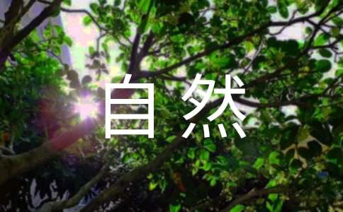 有關(guān)寫(xiě)一處自然景觀(guān)作文集合七篇