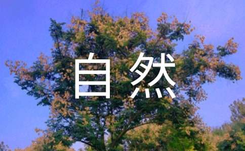 感受自然七年級作文300字