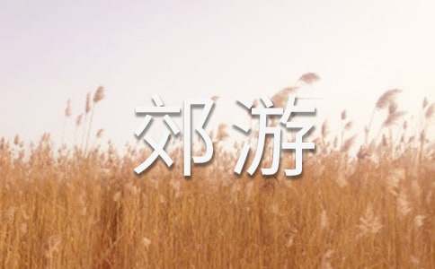 二年級(jí)春天郊游作文