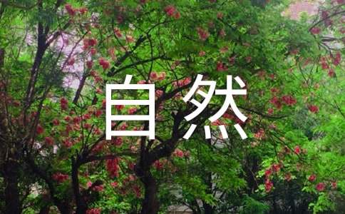 感受自然的不同七年級(jí)作文