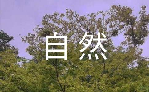 感受自然七年級(jí)作文3篇