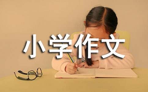 拜年小學(xué)作文（精選44篇）